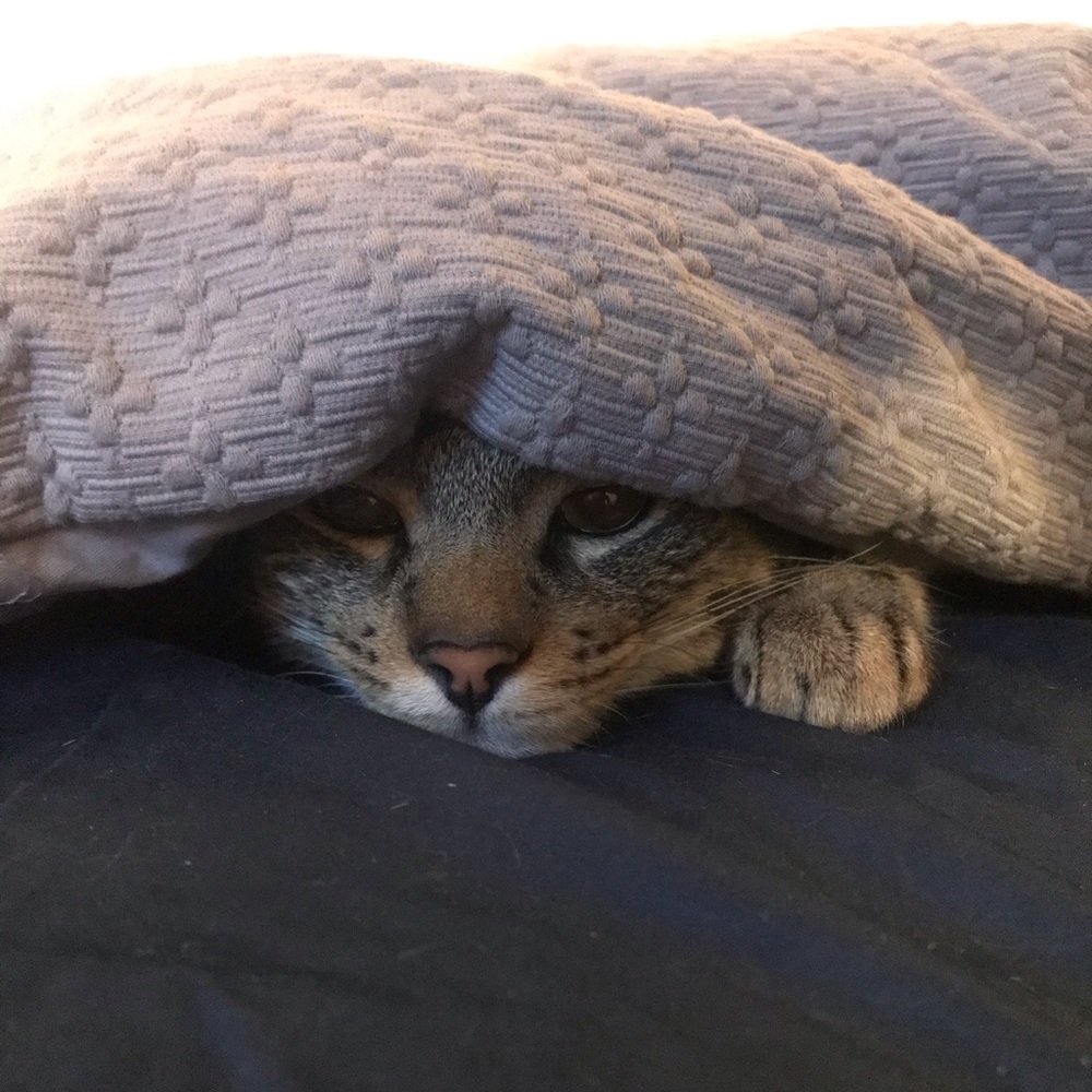 Meet your Posher, Meredith